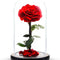 Forever Preserved Rose in Glass Dome