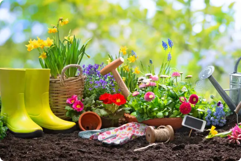 How To Avoid Top 5 Gardening Mistakes