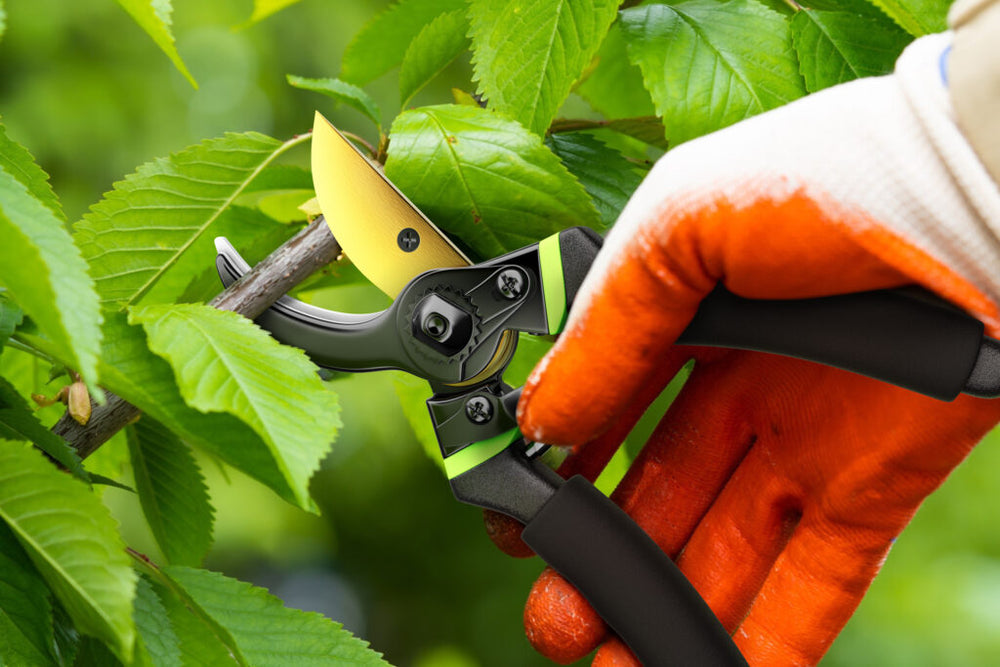 How To Avoid Top 3 Pruning Shear Mistakes