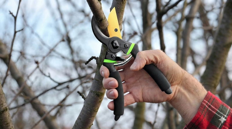 The Ultimate Guide to Choosing the Best Pruning Shears in 2026