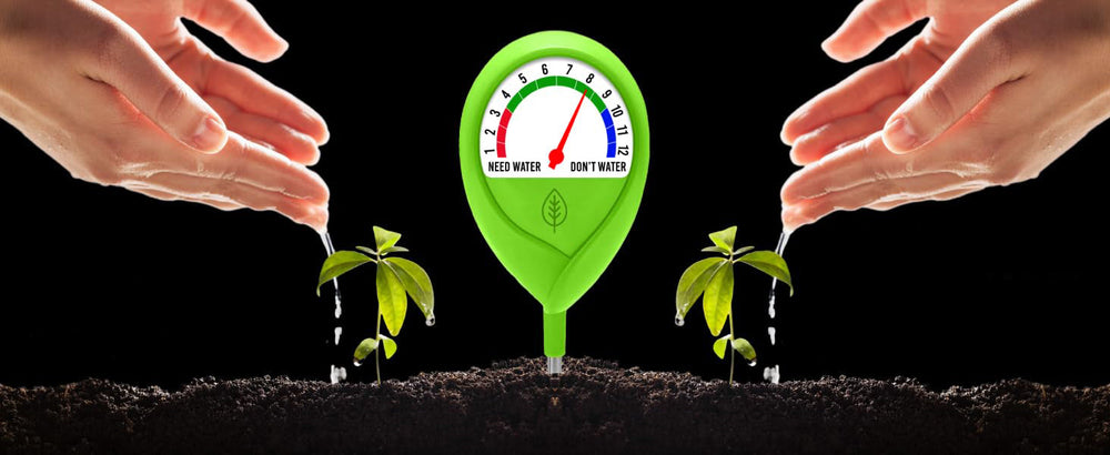 5 Common Watering Mistakes Gardeners Make — And How a Moisture Meter Fixes Them