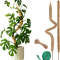 Moss Pole Monstera Plant Support