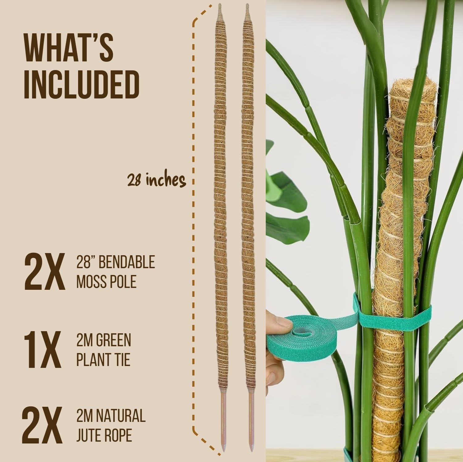 bendable moss pole for plants Moss Pole Monstera Plant Support – Limegoods
