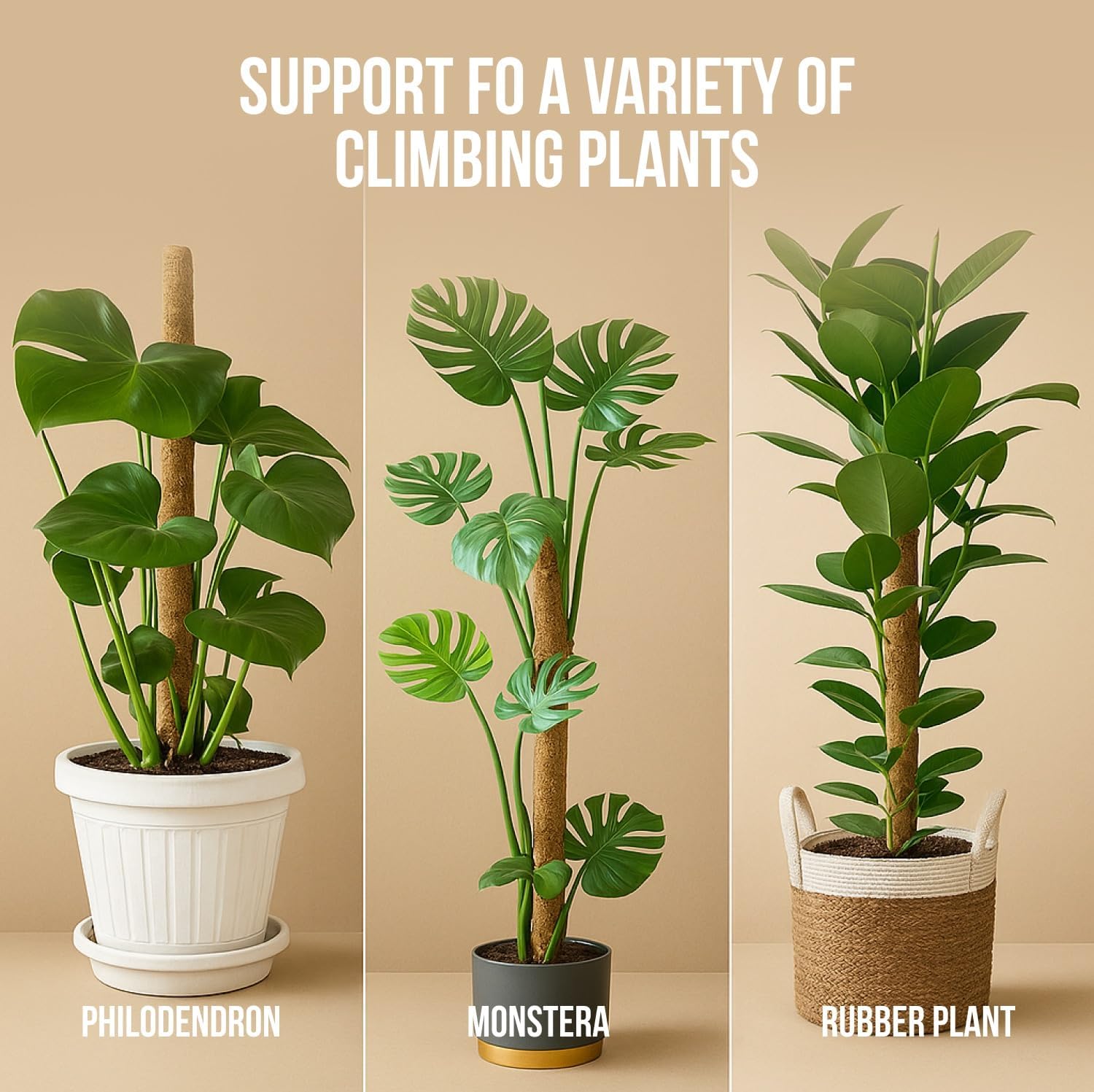 monstera plant stake Moss Pole Monstera Plant Support